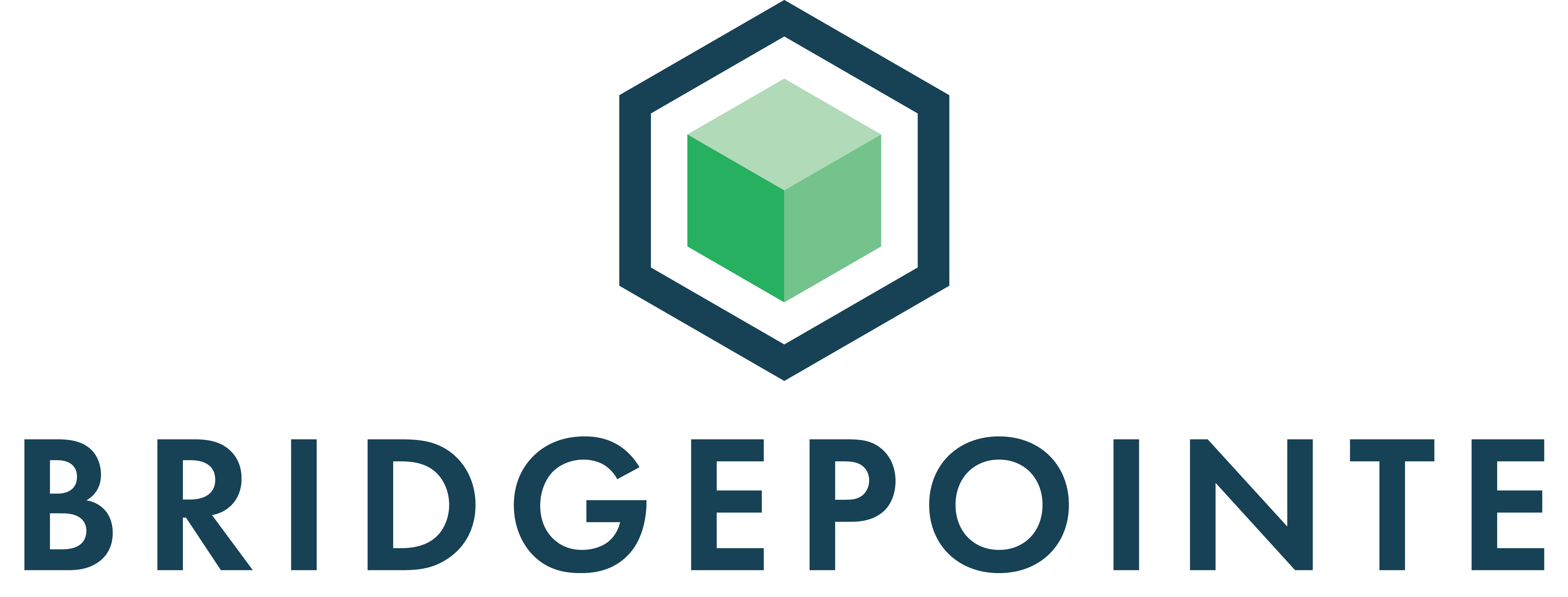 Bridgepionte Technologies Reno USA Logo